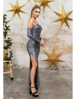 Vestido largo lentejuelas plata